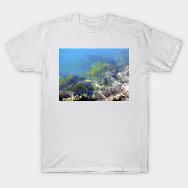 In the bay T-Shirt by kirstybush